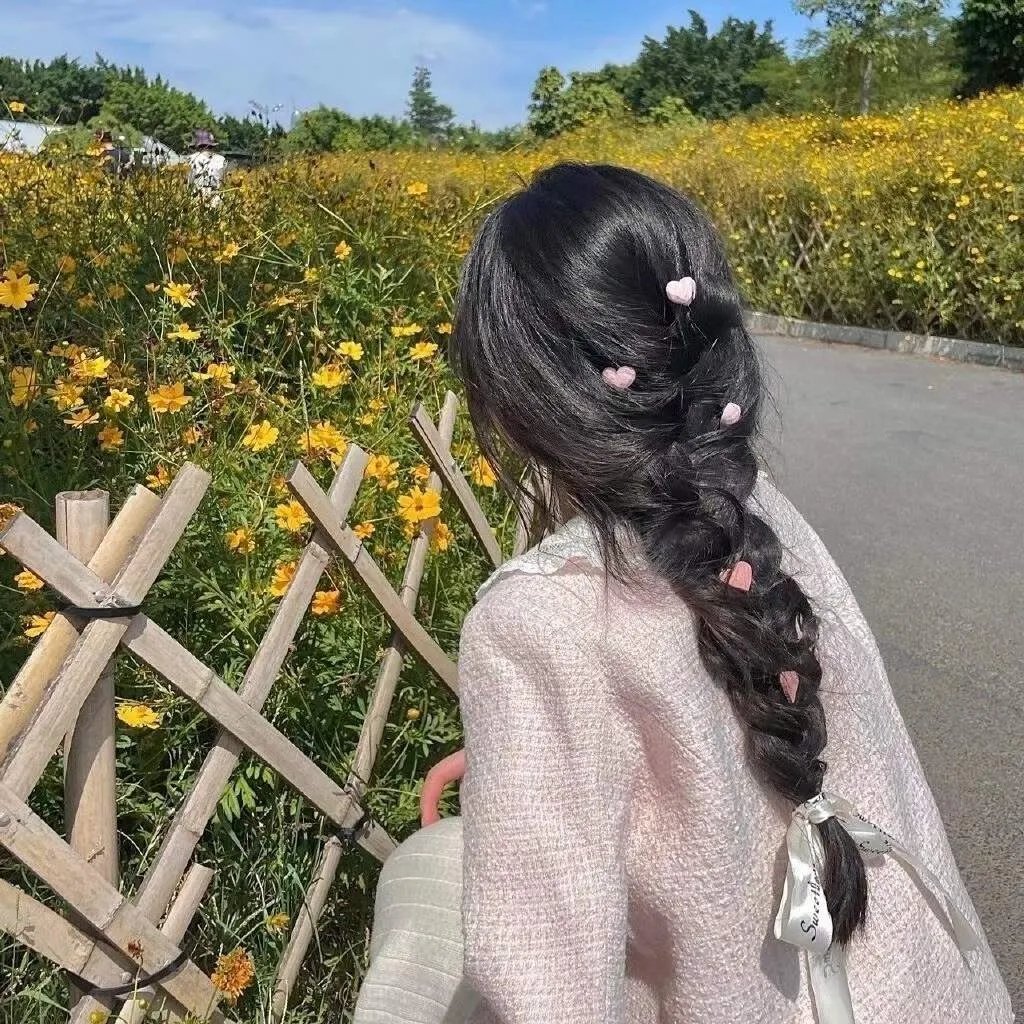 新鲁冰花